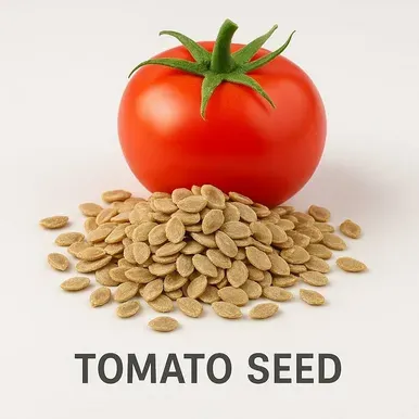 Tomato Seeds