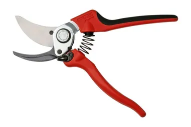 Pruning Shear